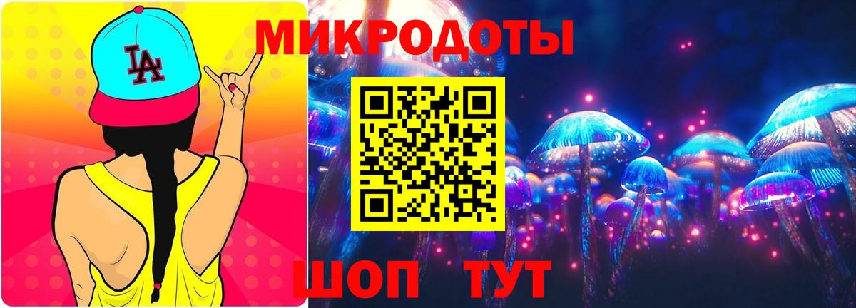 Псилоцибиновые грибы Cubensis Касимов